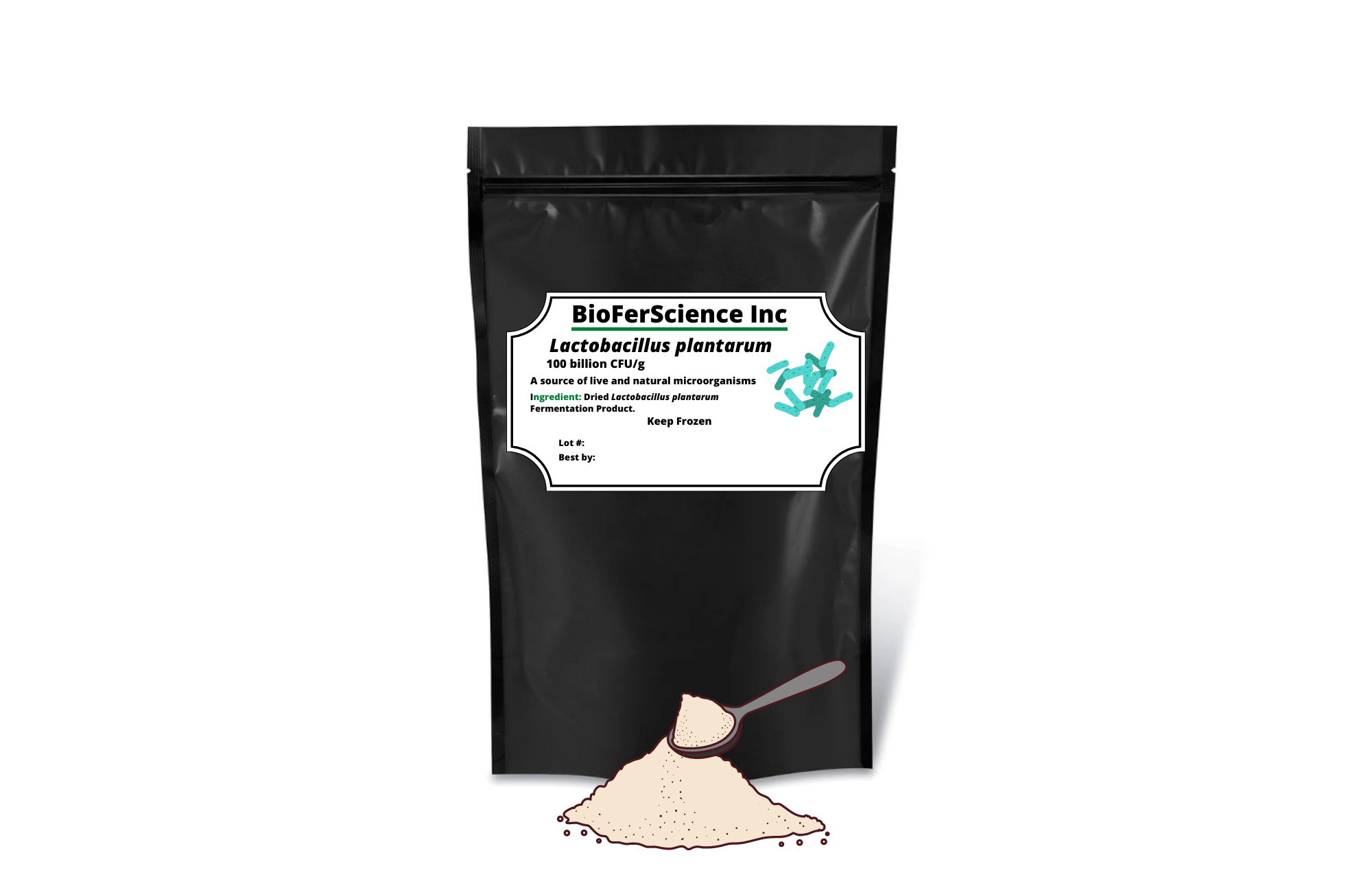 Lactobacillus plantarum